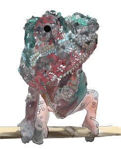 George the helpful chameleon